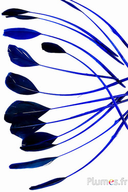 Anatra - 18-20 cm - blu-caffè